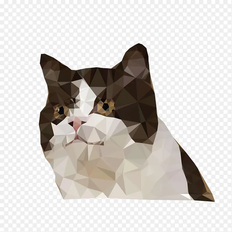 ��ͨèPNG����-������