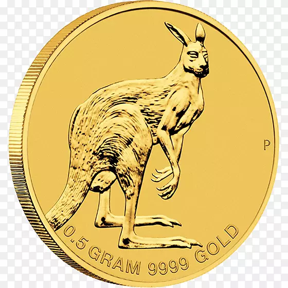 ��˹���ҽ�������ϣ�׽��-������