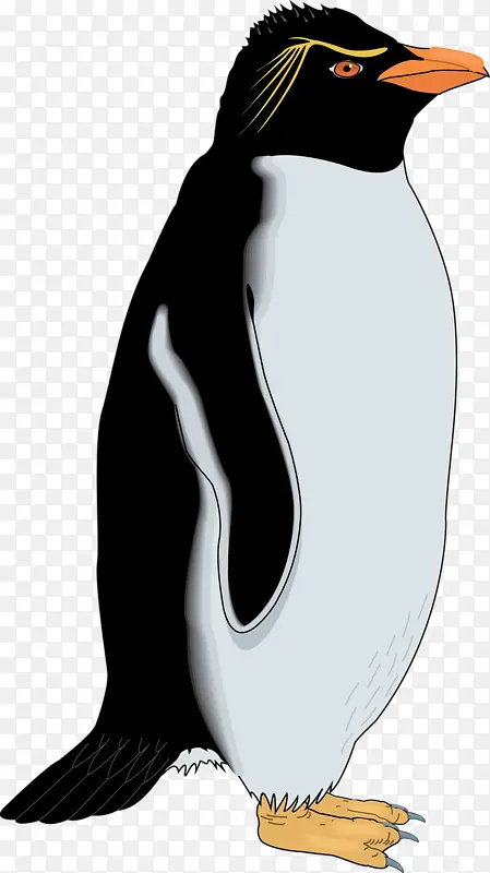 �ɰ����-������