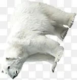 ��ɫ�������ز�-������