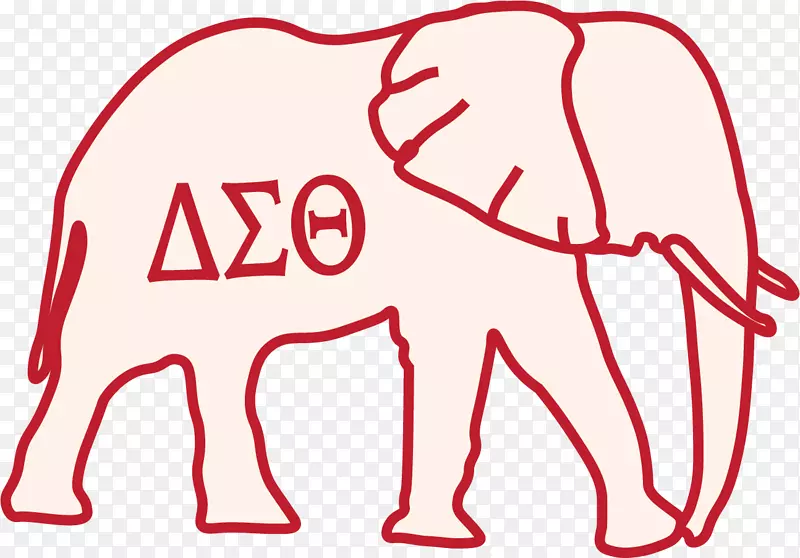 �¶��������갢�����������������Ǵ���é˹ѧԺ������nu-ɳ��-������