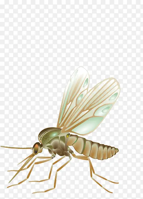 ����-������