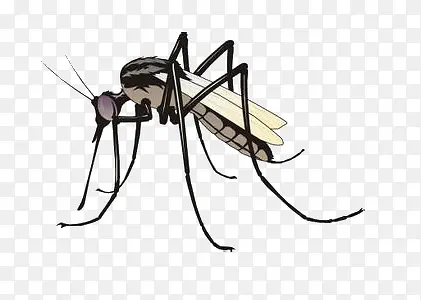 ����-������