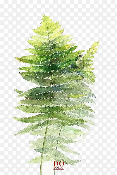 ˮ��Ҷ��-������