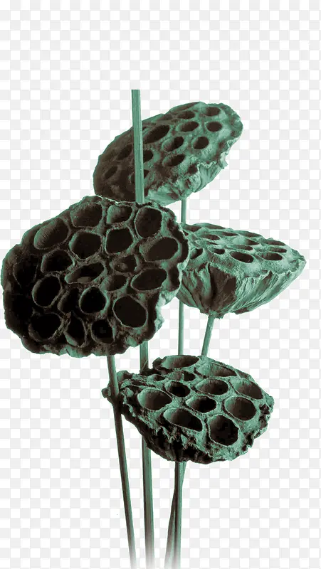 ˮ�ʻ�ź-������