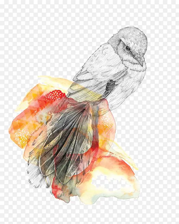 ����-������