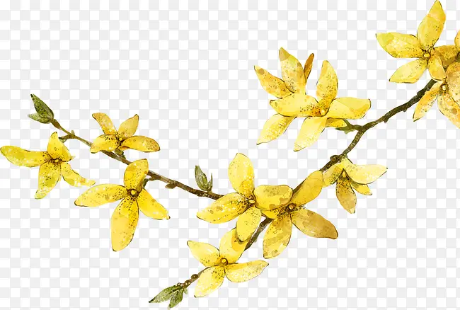 ��-������