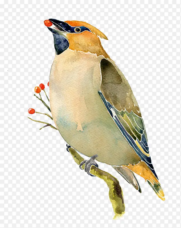 �ֻ�ˮ��С��-������