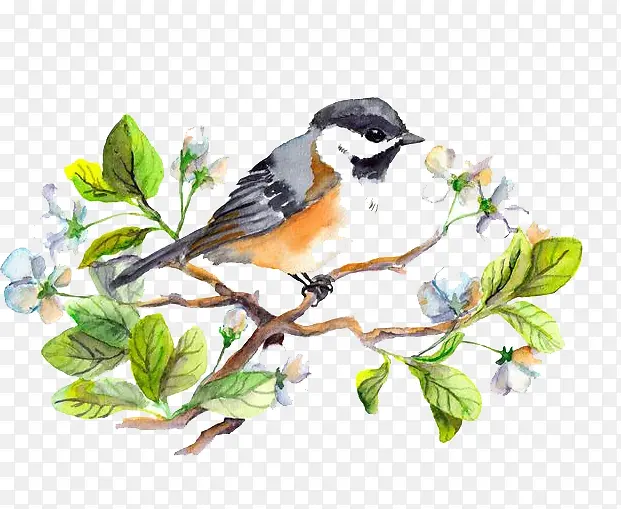 ˮ��С��-������