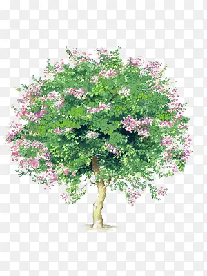 �ȴ���-������