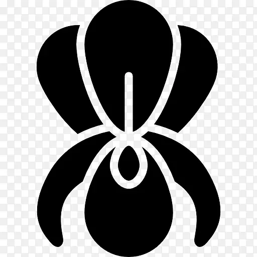 ��ͼ��-������