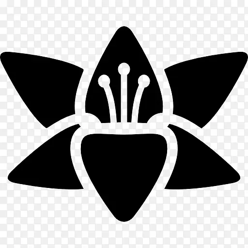 ����ͼ��-������