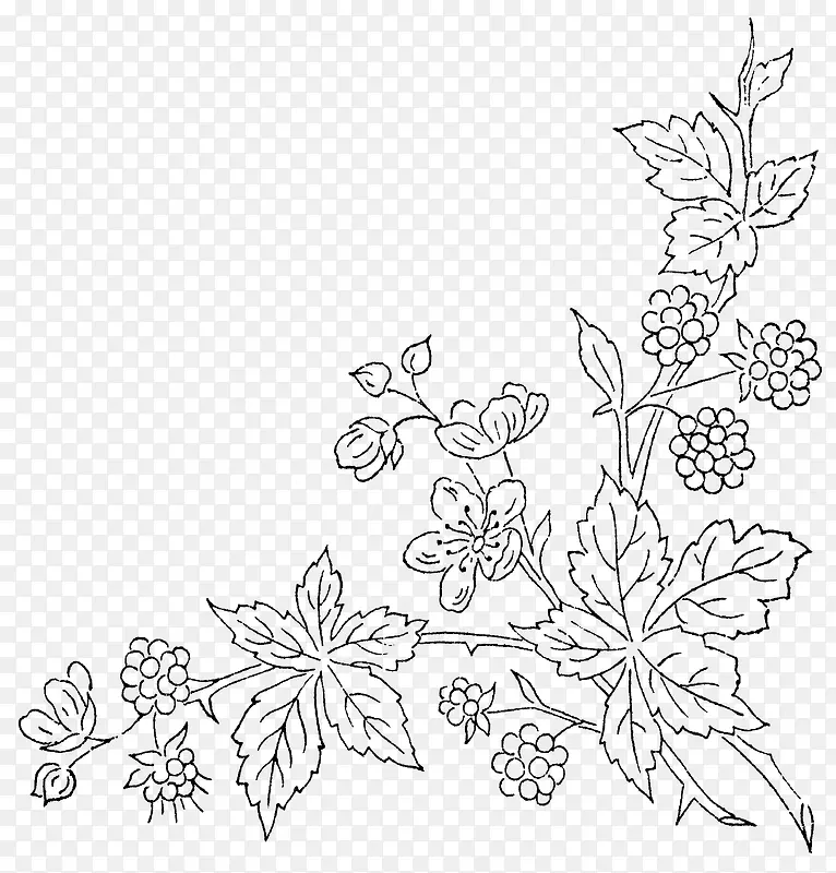 �ֻ�ֲ��-������