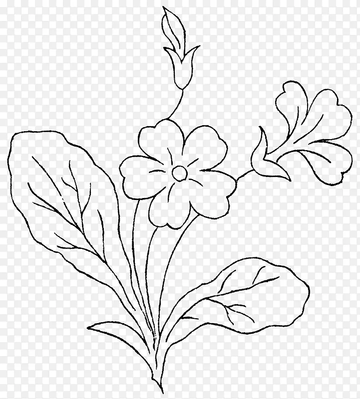 �ֻ�ֲ��-������