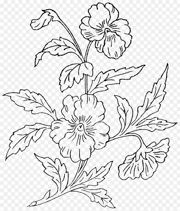 �ֻ�ֲ��-������