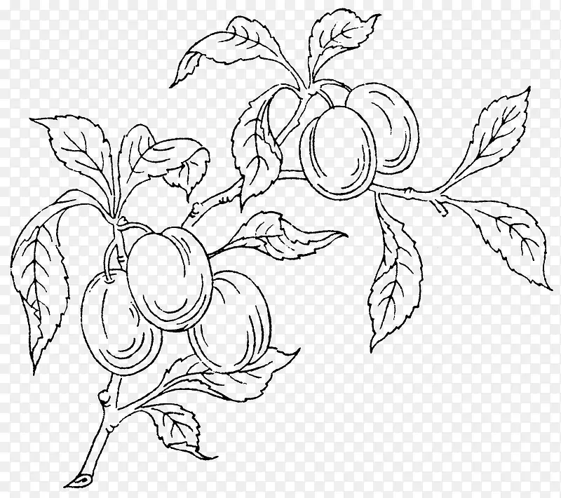 �ֻ�ֲ��-������