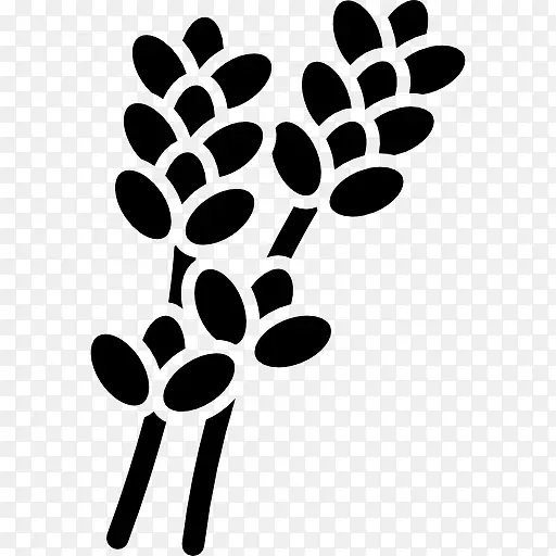 ޹�²�ͼ��-������