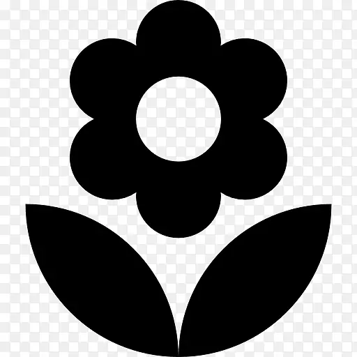 ����Ҷͼ��-������