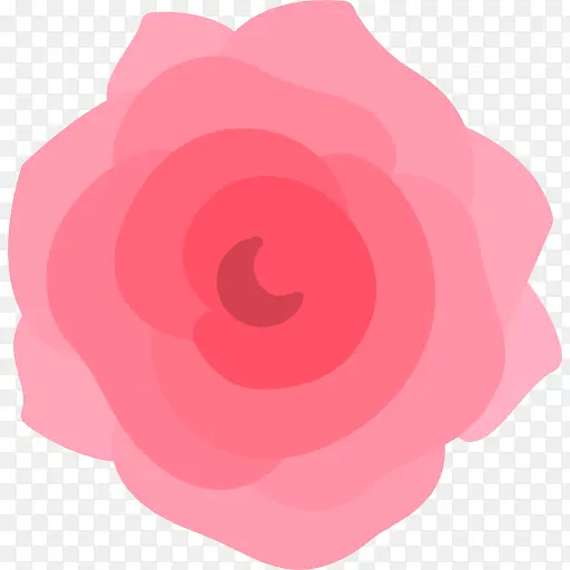 õ��ͼ��-������