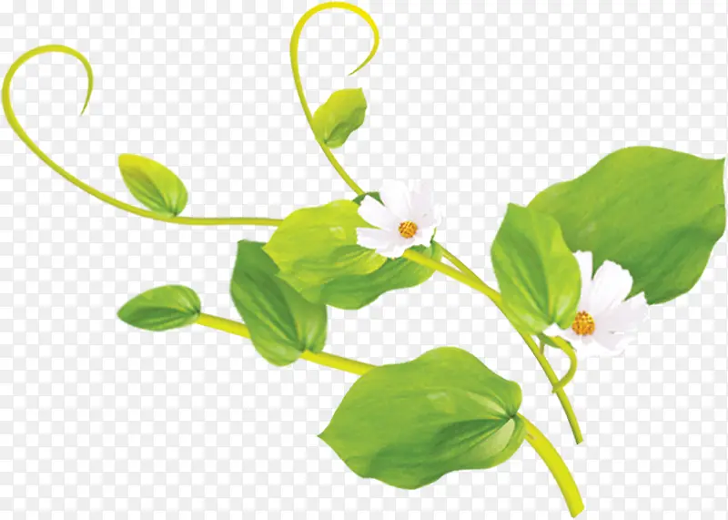 ��ɫ��������-������