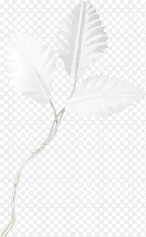 ��ɫҶ���ز�-������