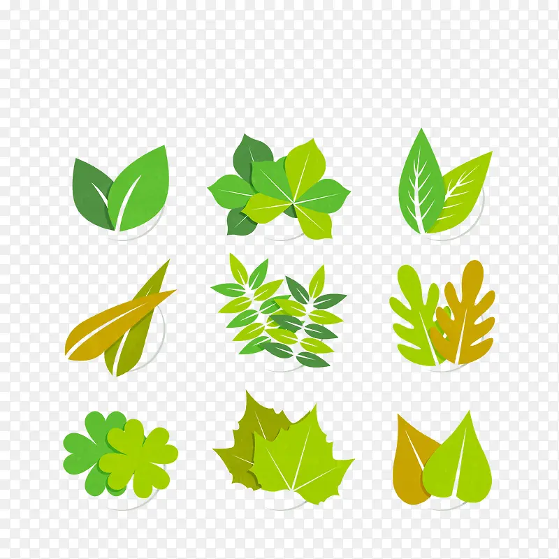 �ֻ�Ҷ��ʸ��ͼ-������