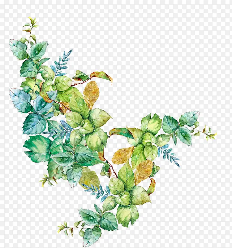 ��ͨ�ֻ�ˮ���ʻ�Ҷ��-������