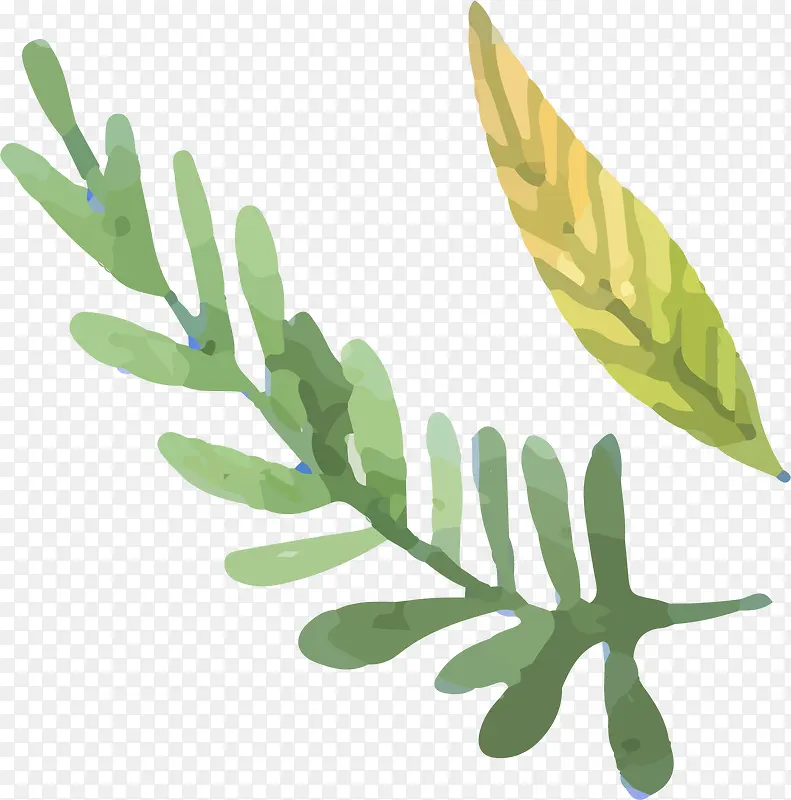 �ֻ�Ҷ��-������