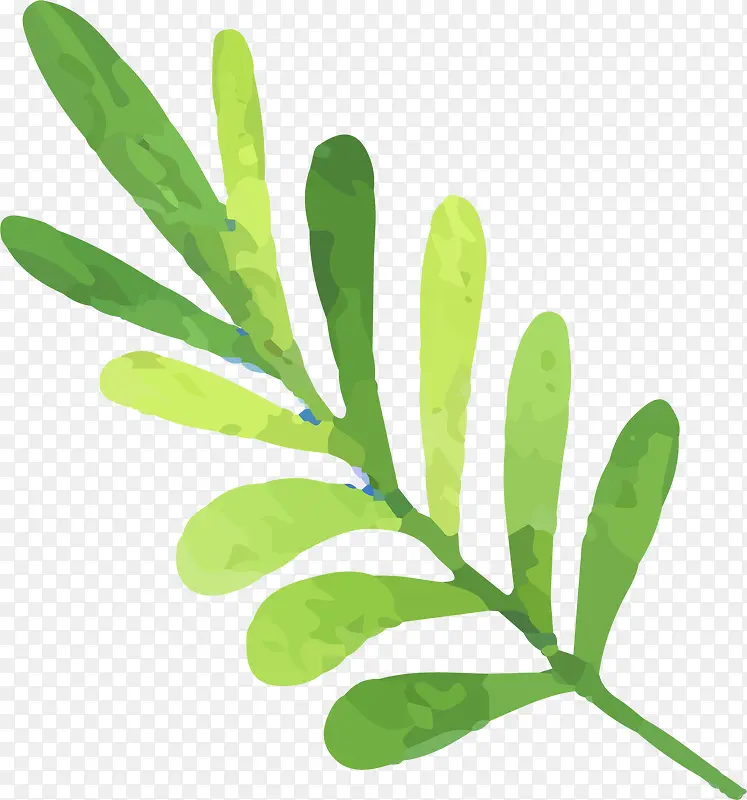 �ֻ�Ҷ��-������