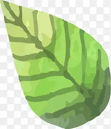 �ֻ�Ҷ��-������