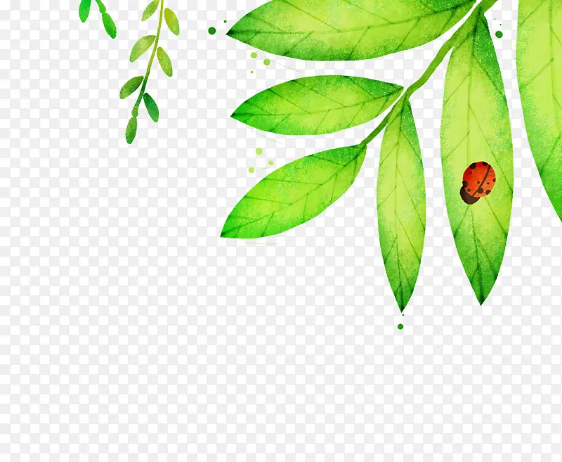 �ֻ�Ҷ��-������