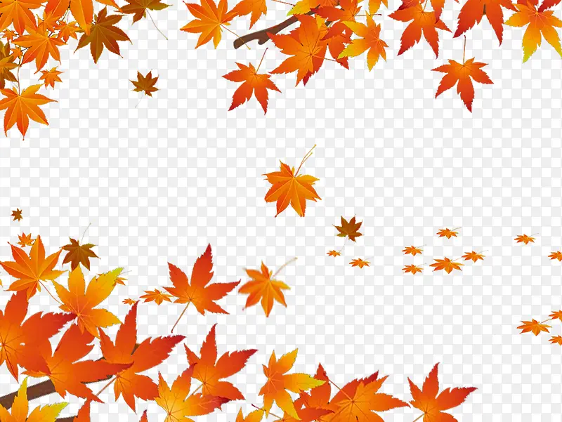 �ֻ濨ͨ����Ҷ��-������