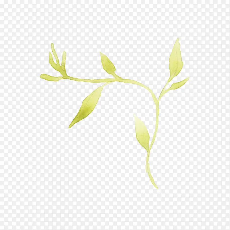 �ֻ���֦-������