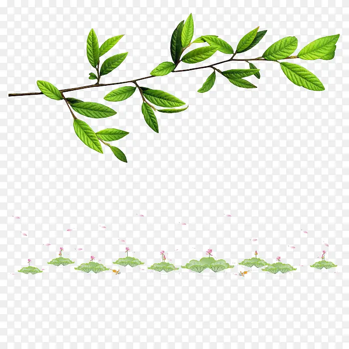 ��֦-������