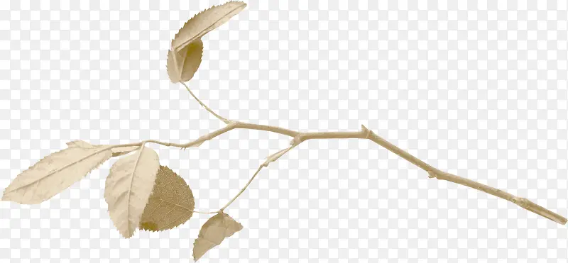 �ֻ���֦-������