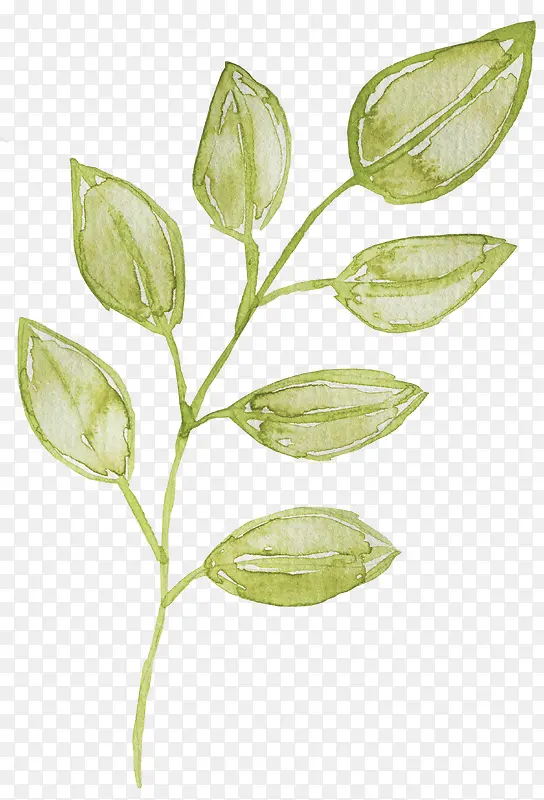 �ֻ���֦-������