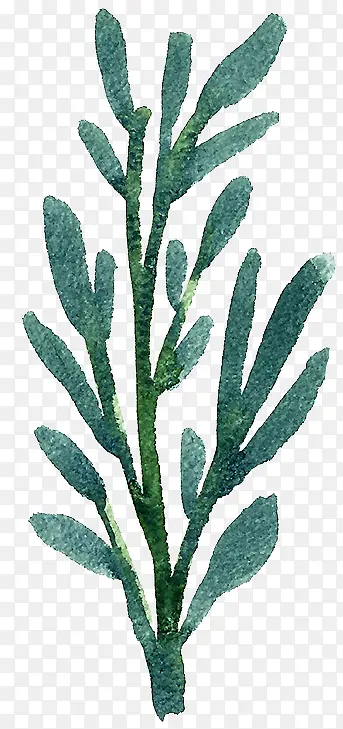 �ֻ�Ҷ��-������