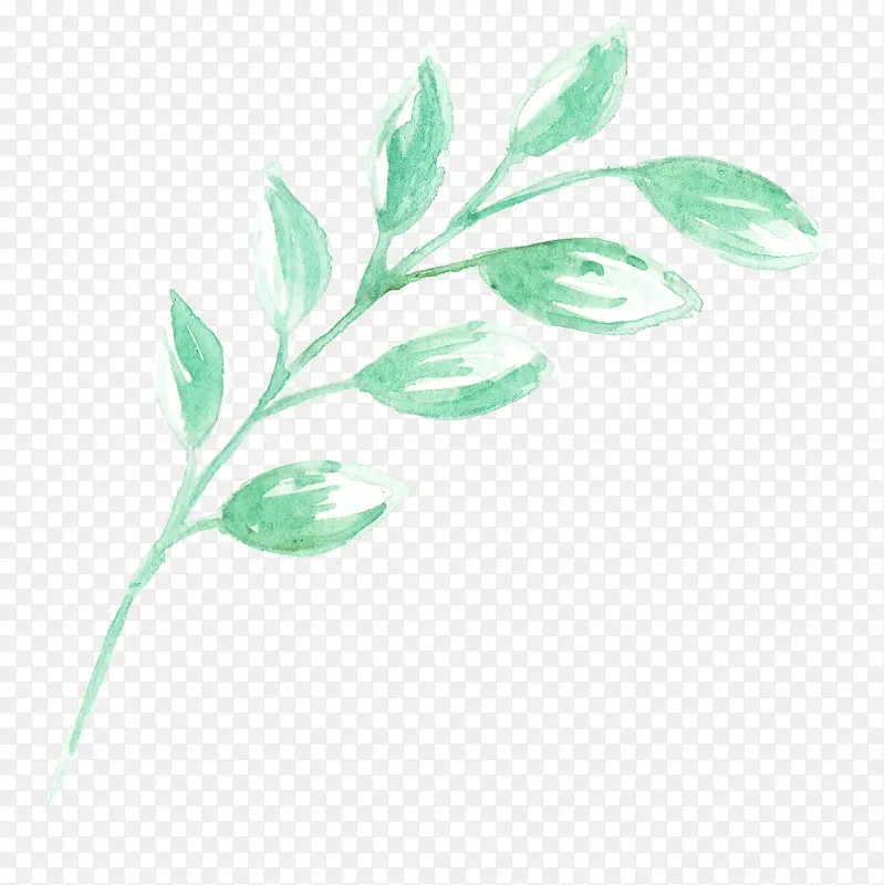 �ֻ�Ҷ��-������