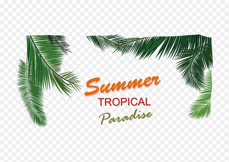 Ҷ����ʸ������-������