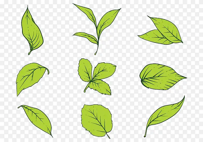 Ҷ��-������