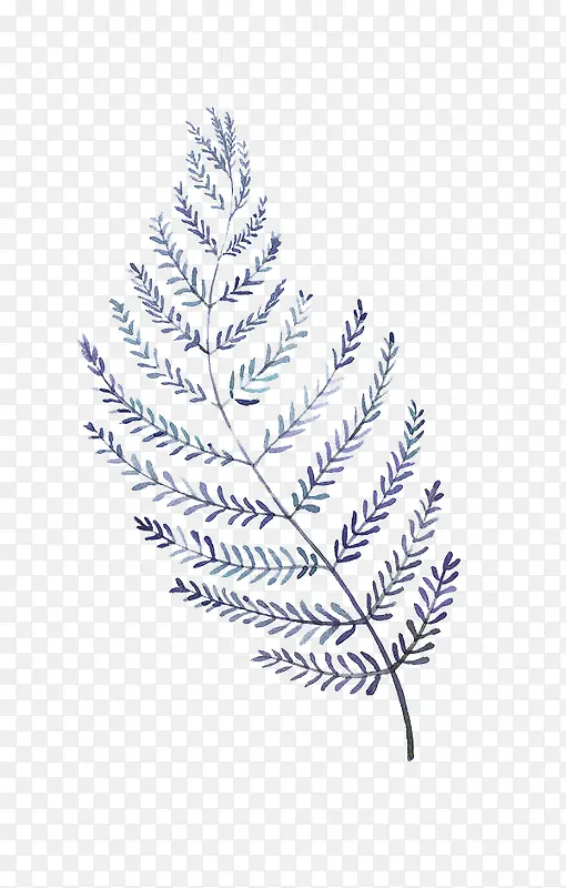 ˮ��Ҷ��-������