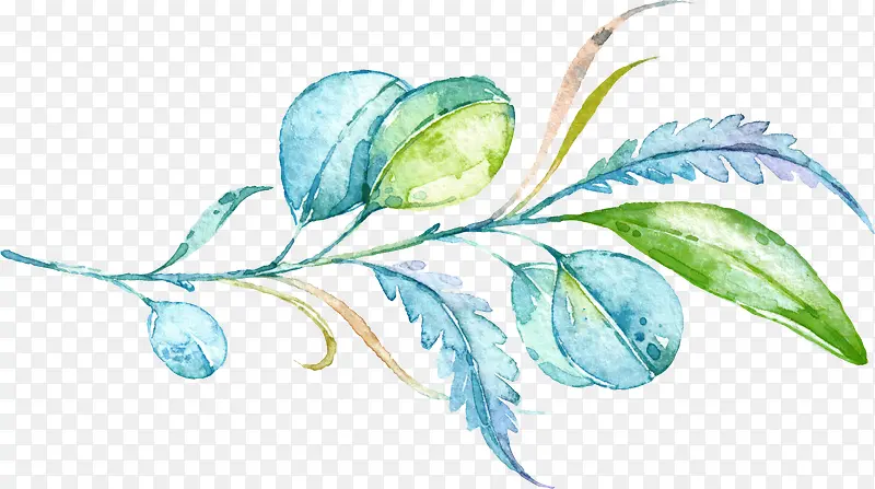 ˮ��Ҷ��-������