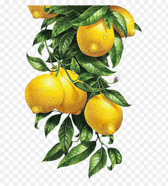 ˮ������-������