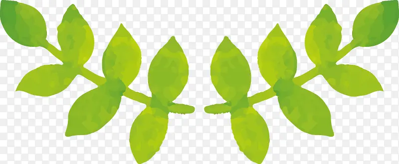 ˮ��Ҷ��-������