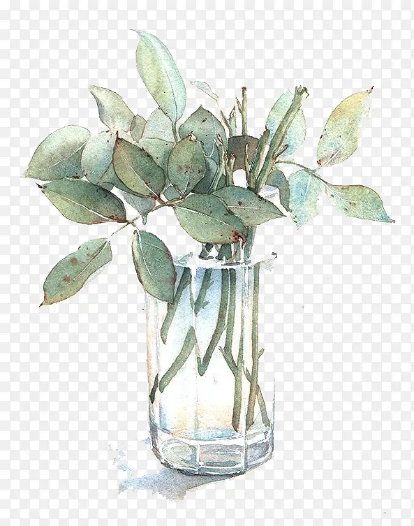 ˮ��Ҷ��-������