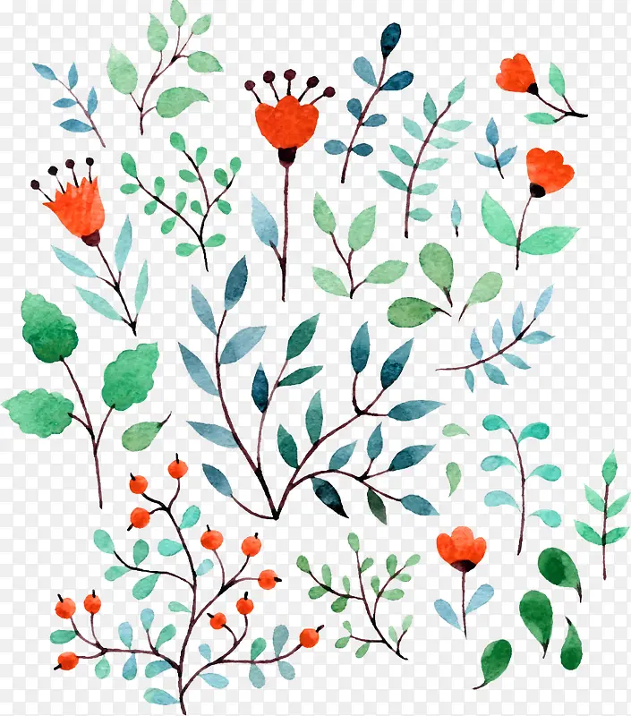 ˮ��Ҷ��-������