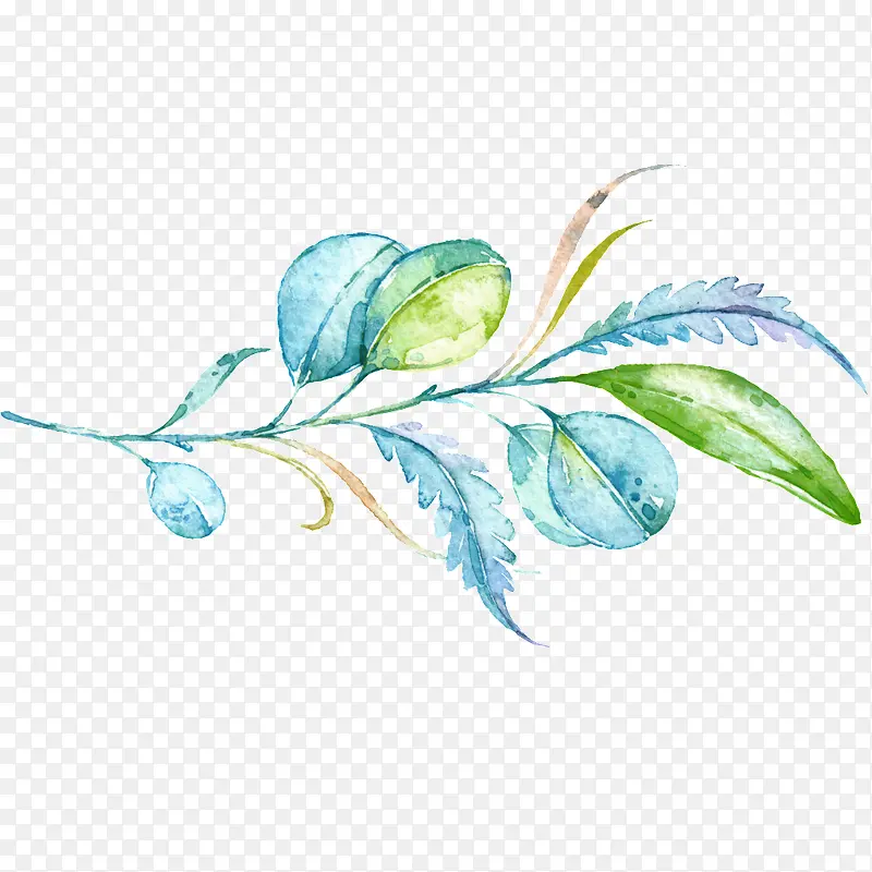 ˮ��Ҷ��-������