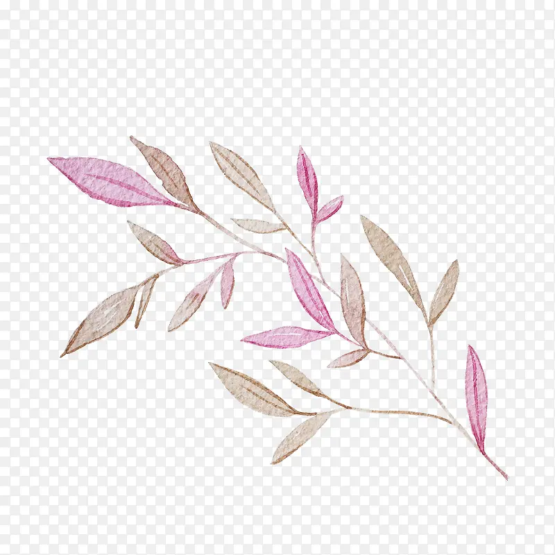 ˮ��Ҷ��-������