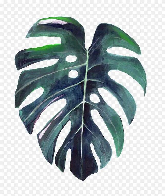 ˮ��Ҷ��-������