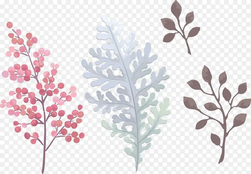 ��ͨˮ��Ҷ��-������